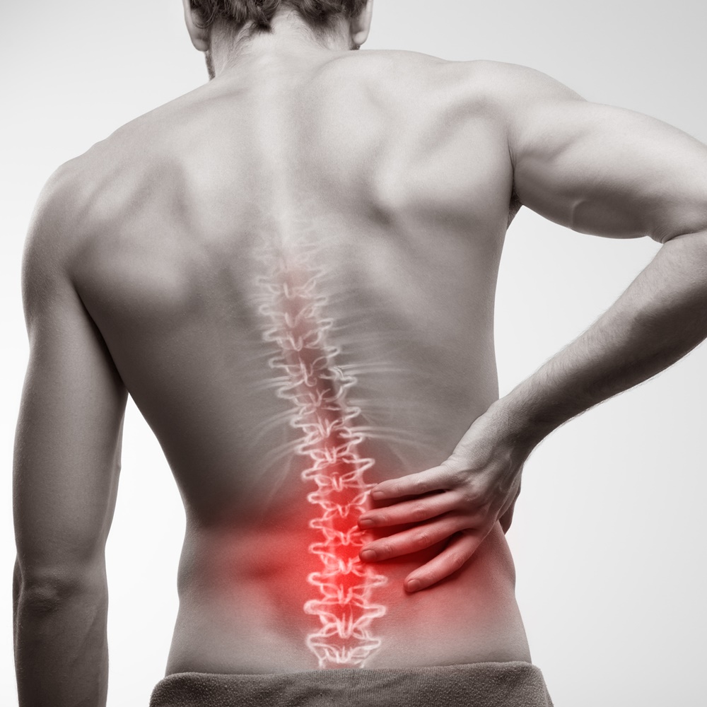 BODY SUCCESS INSTITUT by Birgit Schraml